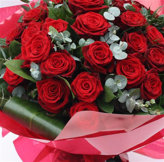 Two Dozen Red Roses